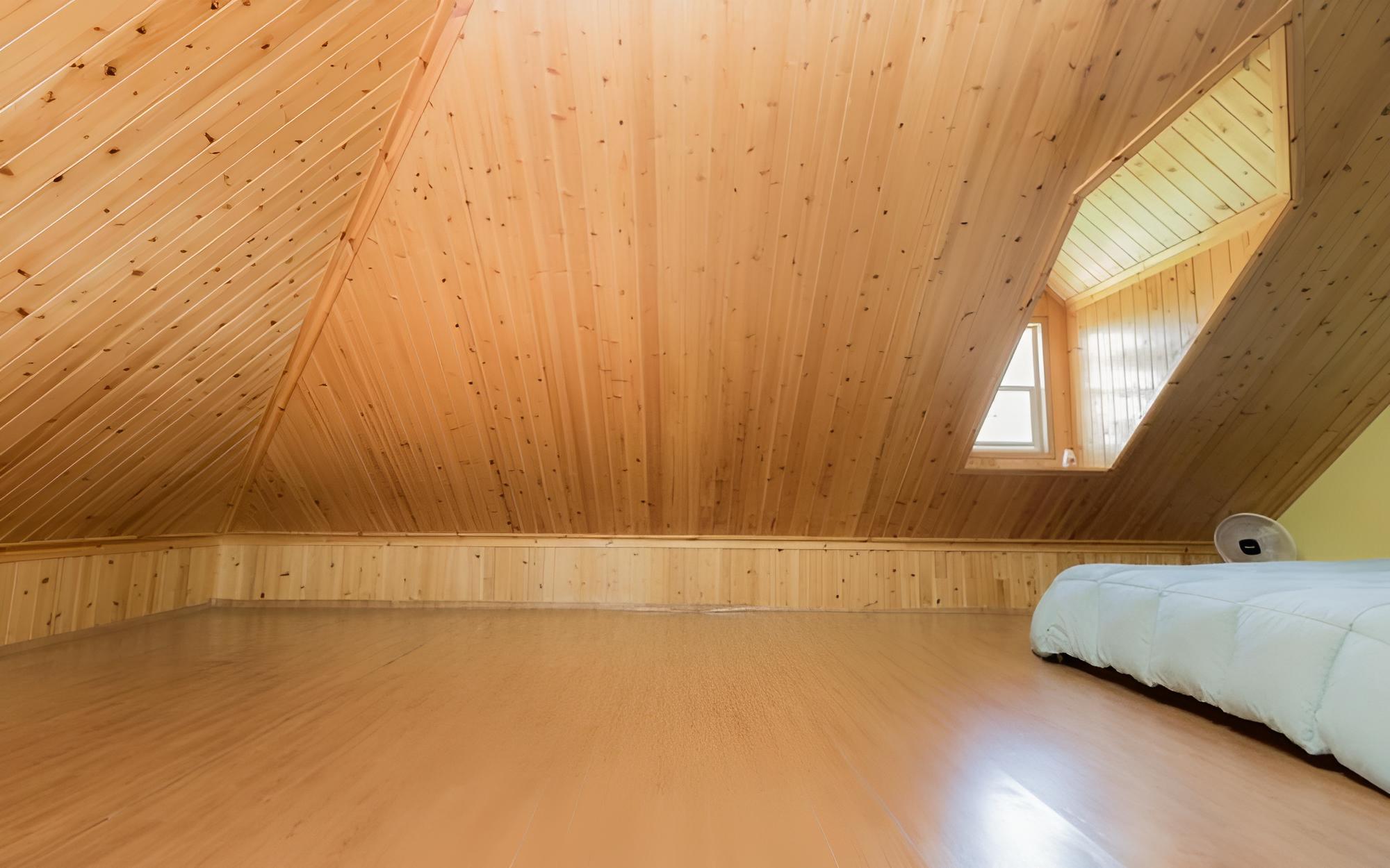Room (Paol von haije) - Photo 8