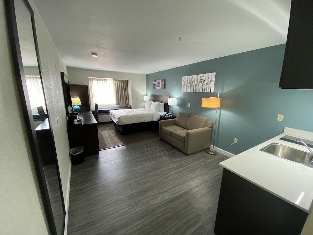 Suite, 1 Queen Bed with Sofa bed, Non Smoking (Efficiency) - Photo 4