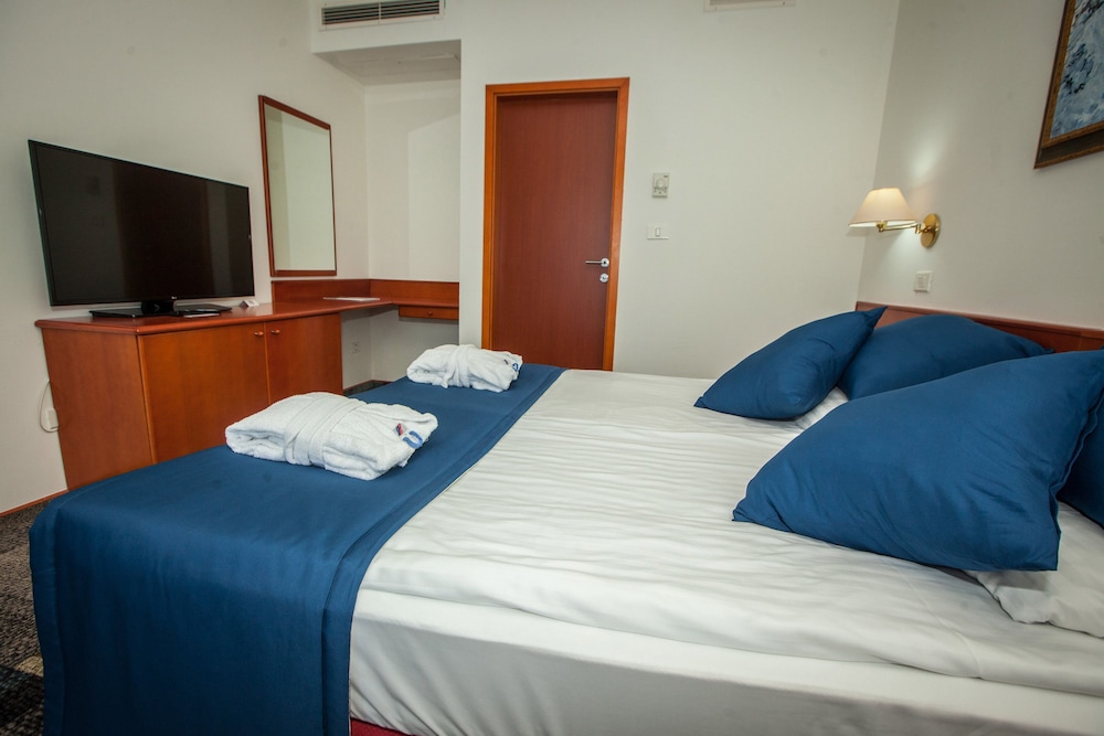 Standard Double or Twin Room photo 1