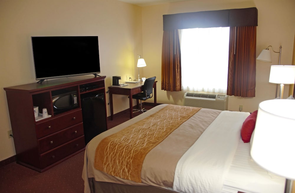 Room, 1 King Bed, Non Smoking - Photo 5