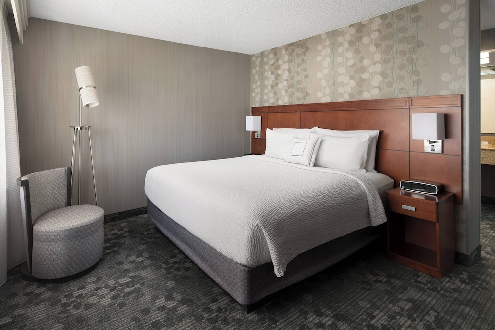 Suite, 1 King Bed with Sofa bed
