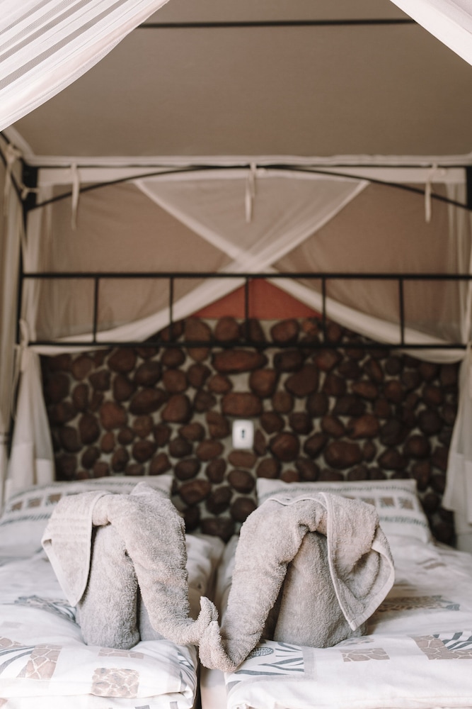 Double or Twin Room photo 2