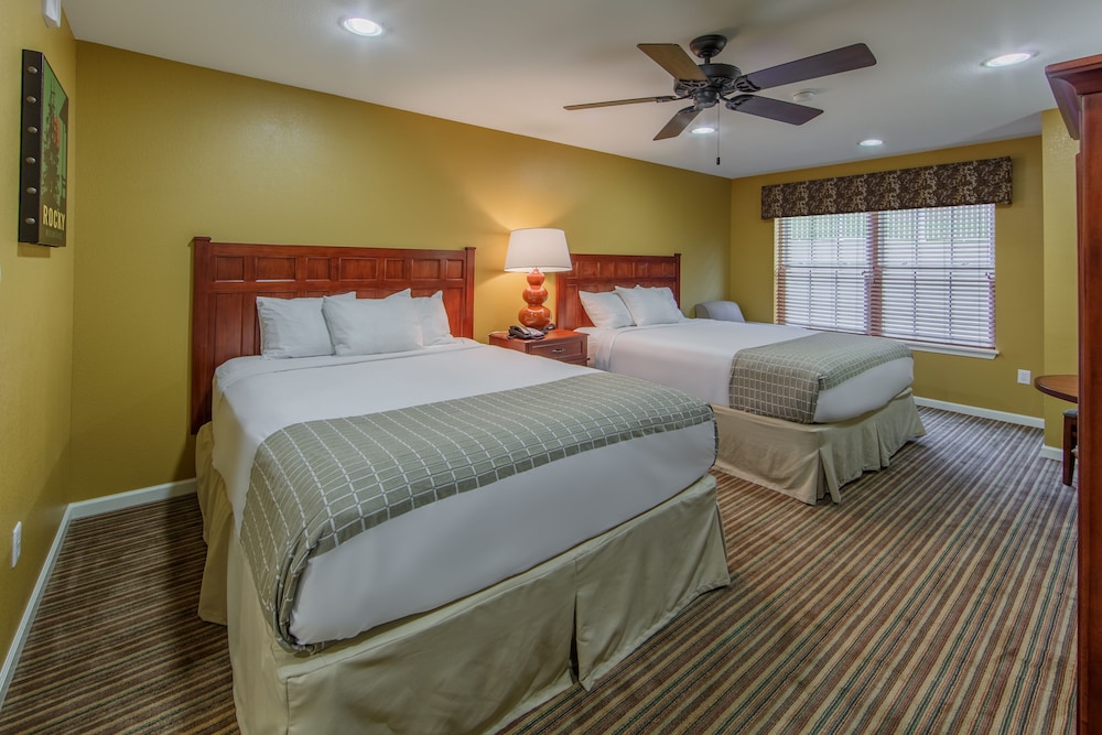 Deluxe Room photo 1