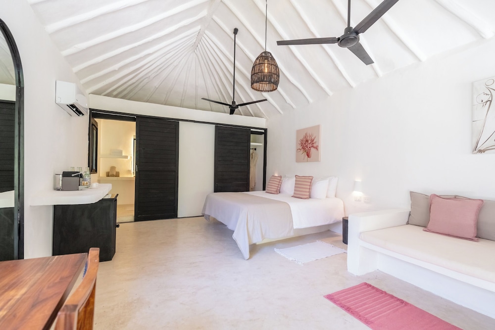 Loft Jungle Rey con Terraza