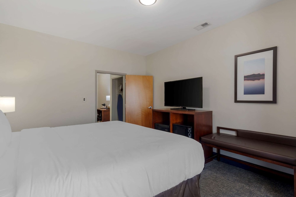 Suite, 1 King Bed with Sofa bed, Non Smoking - Photo 1