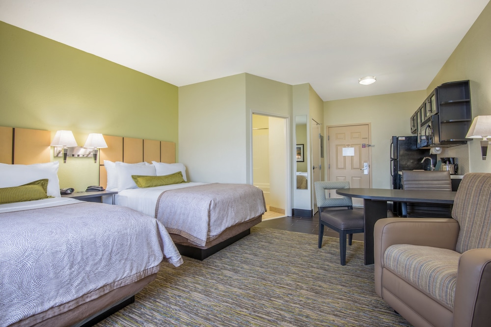 Studio Suite, 2 Double Beds, Kitchen photo 2