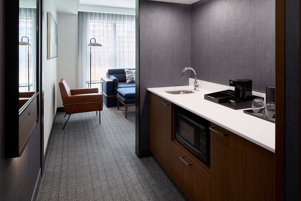 Suite, 1 King Bed with Sofa bed