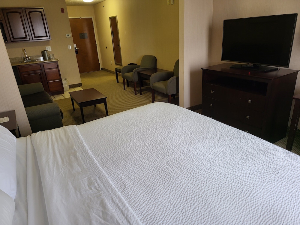 Suite, 1 King Bed photo 1