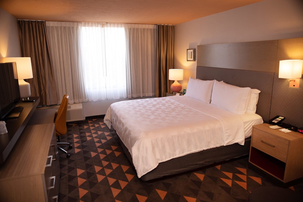 Standard Room, 1 King Bed, Accessible (Communications, Accessible Tub) - Photo 5