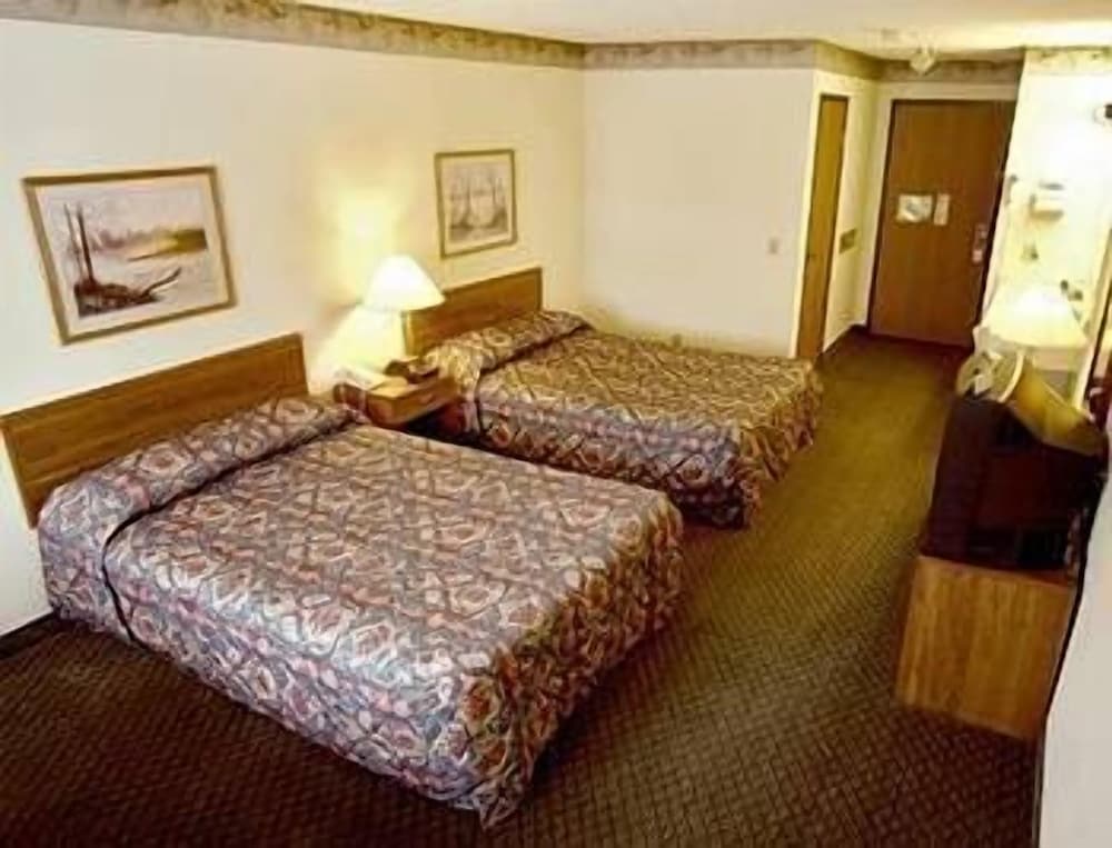 Standard Room, 2 Double Beds photo 2