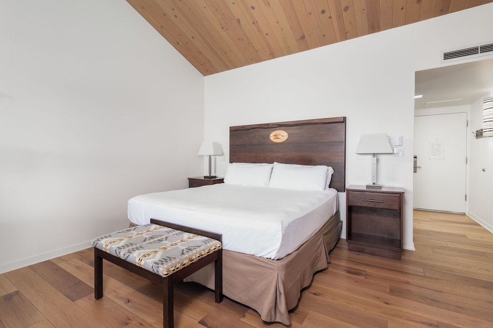 Deluxe Room, 1 King Bed with Sofa bed, Garden View - Photo 3