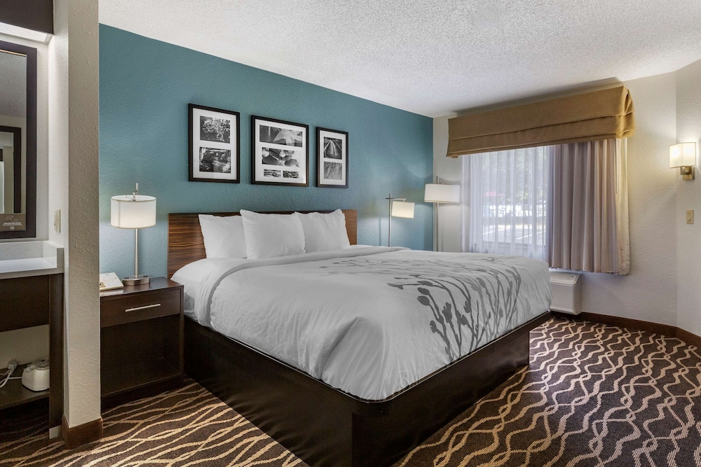 Standard Room, 1 King Bed, Non Smoking - Photo 1