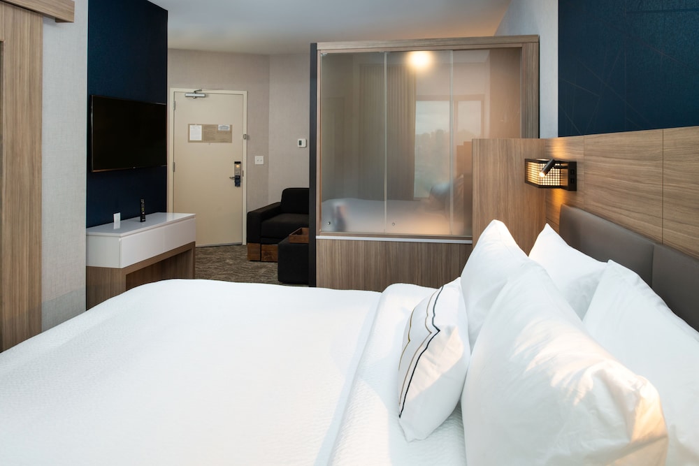 Suite, 1 King Bed (Mobility/Hearing Access, Roll-In Shwr) photo 1