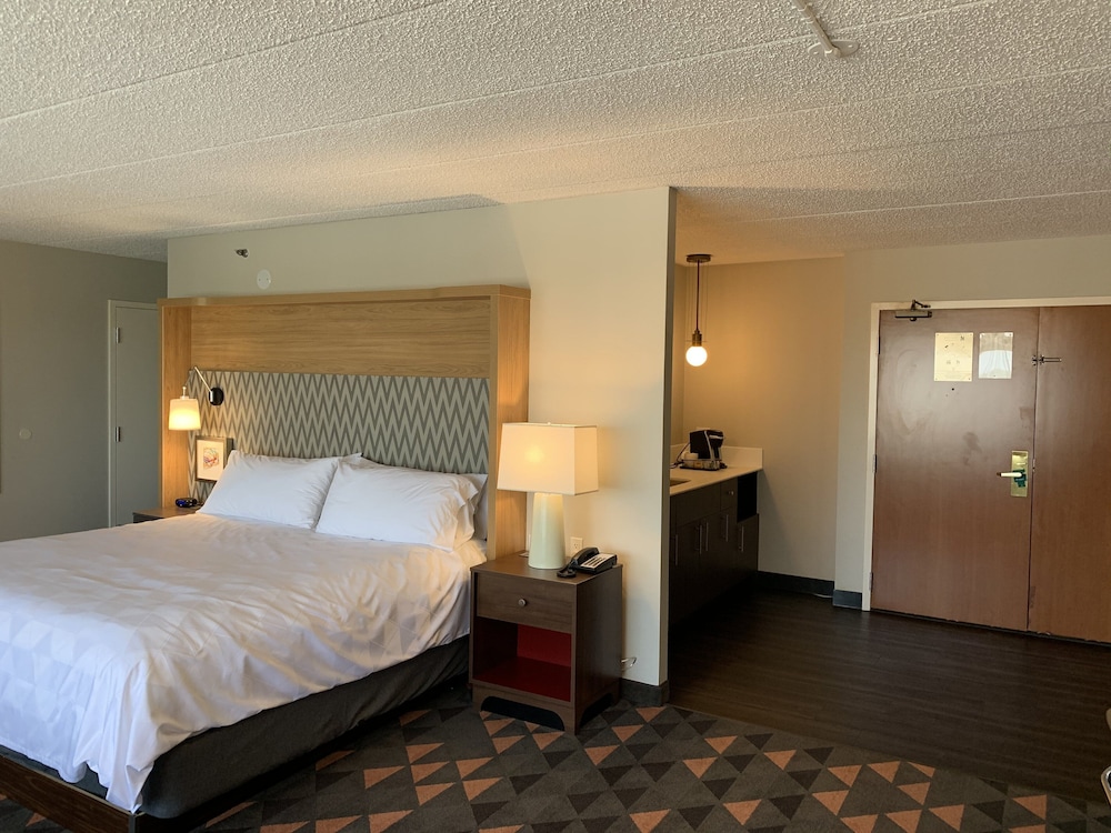 Suite, 1 Bedroom - Photo 8