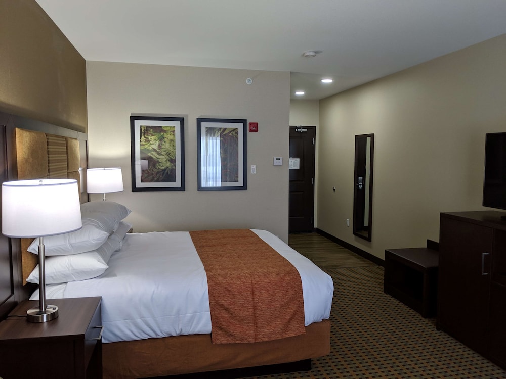 Suite, 1 King Bed, Non Smoking, Microwave