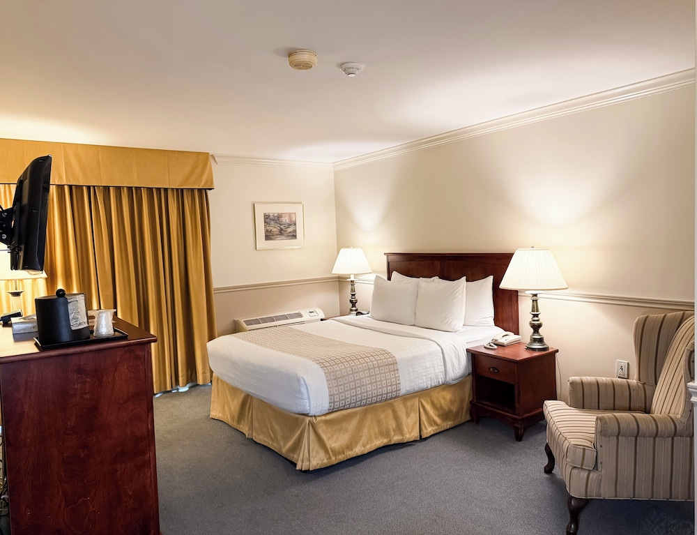 Standard Room, 1 Queen Bed, Pets Not Allowed photo 2