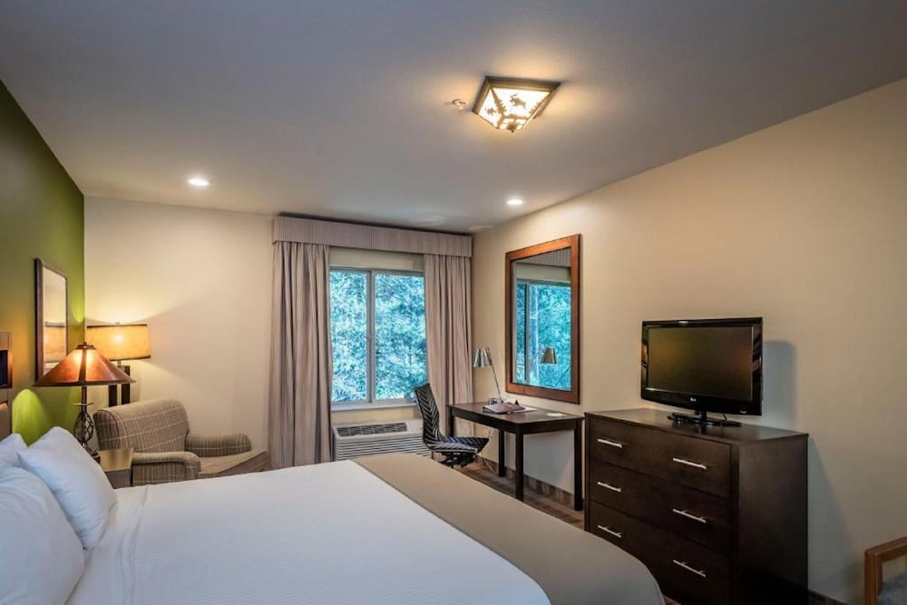 Executive Room, 1 King Bed - Photo 1
