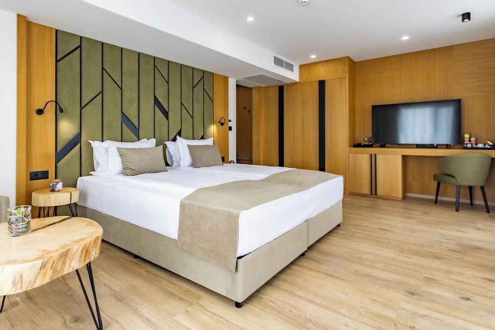 Classic Double Room, Balcony, Park View photo 1