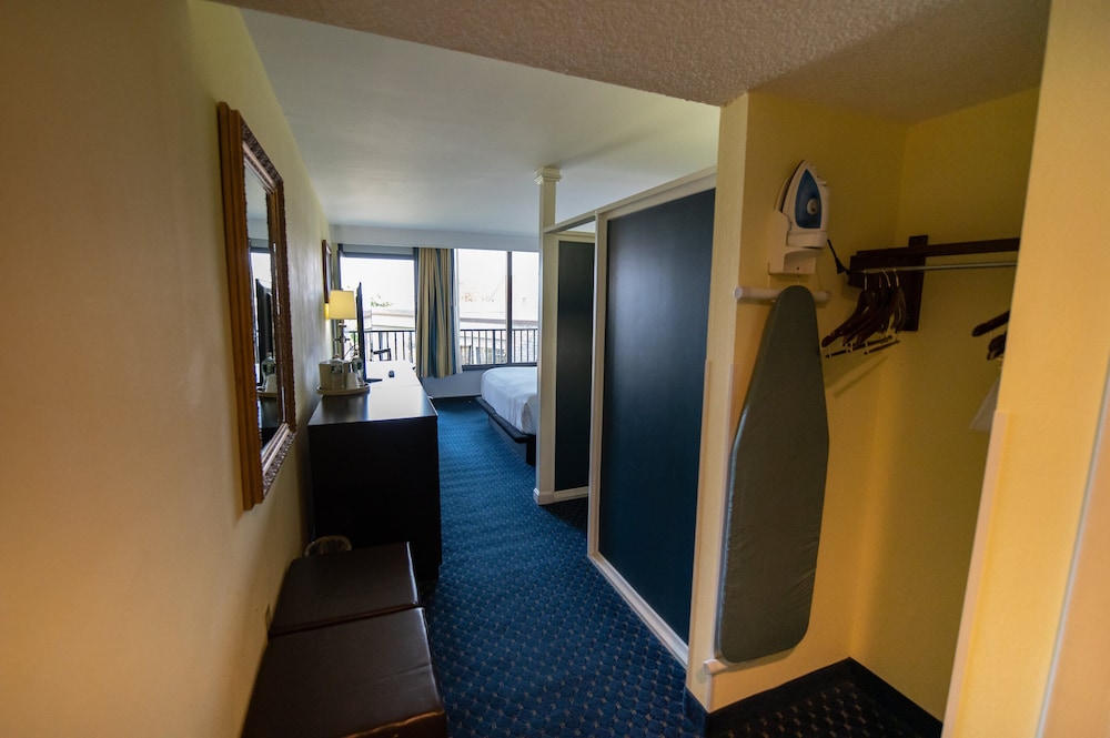 Suite, 1 Bedroom - Photo 2