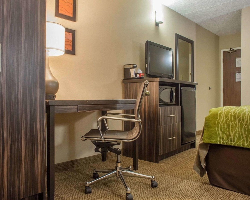 Standard Room, 1 King Bed, Non Smoking (No Pets Allowed) - Photo 9