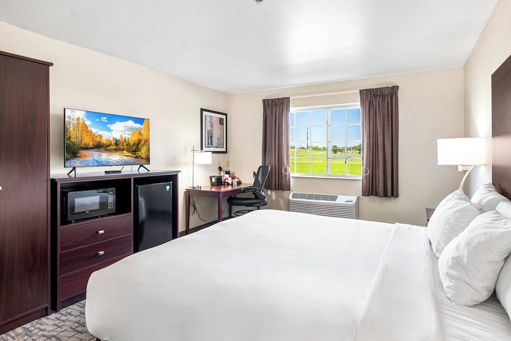 Room, 1 King Bed, Accessible Tub, Non Smoking photo 3