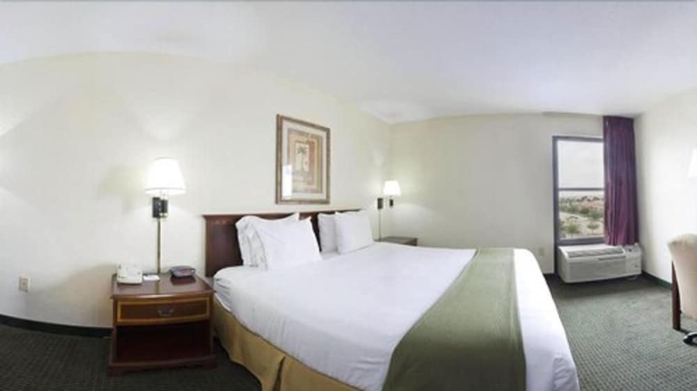 Suite, 1 King Bed with Sofa bed - Photo 2