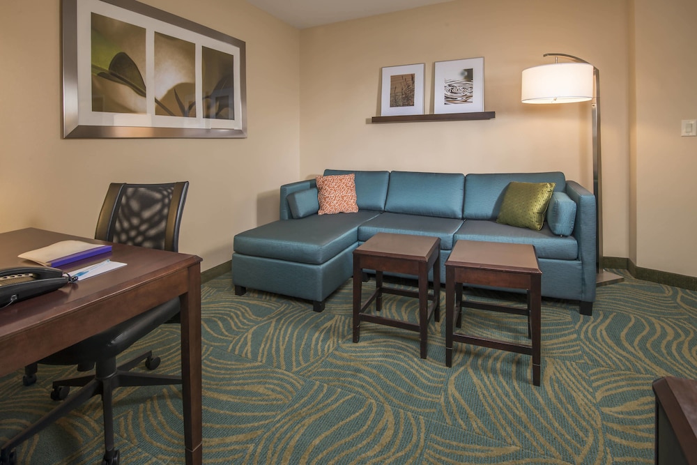 Suite, 1 Bedroom (Mobility/Hearing Access, Roll-In Shwr) photo 3