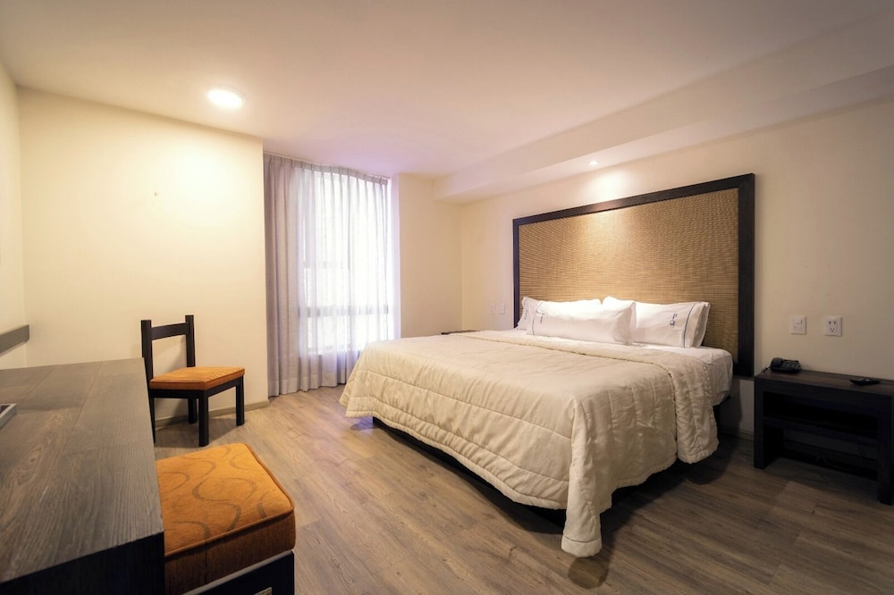 Suite - Photo 1