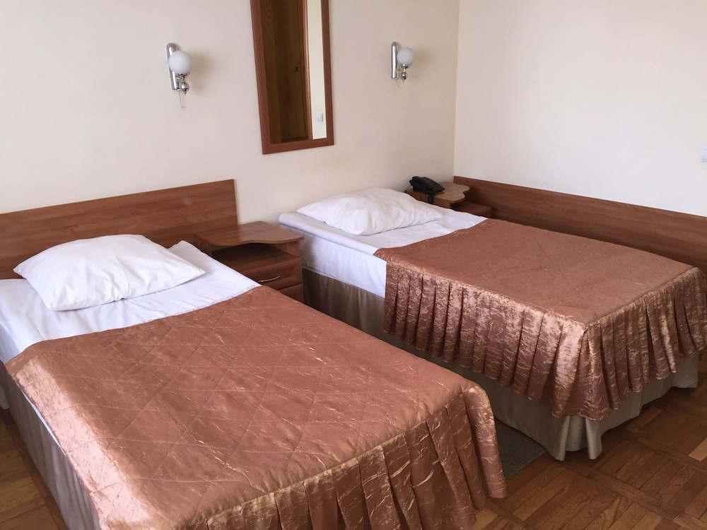 Standard Twin Room photo 2