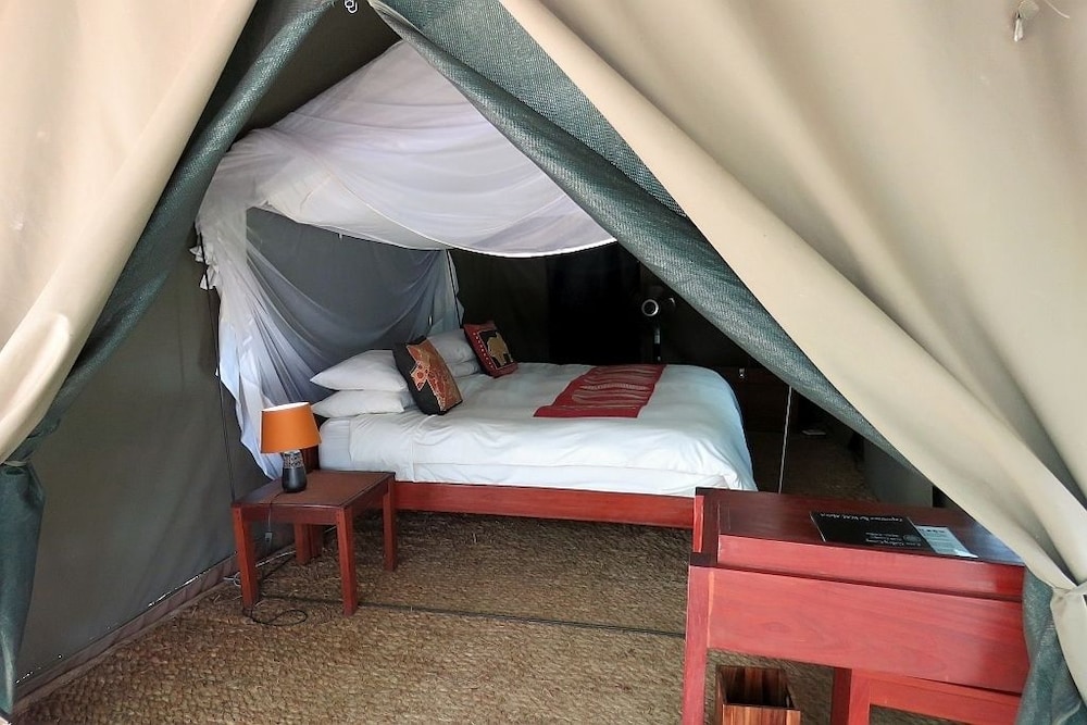 Camping photo 3