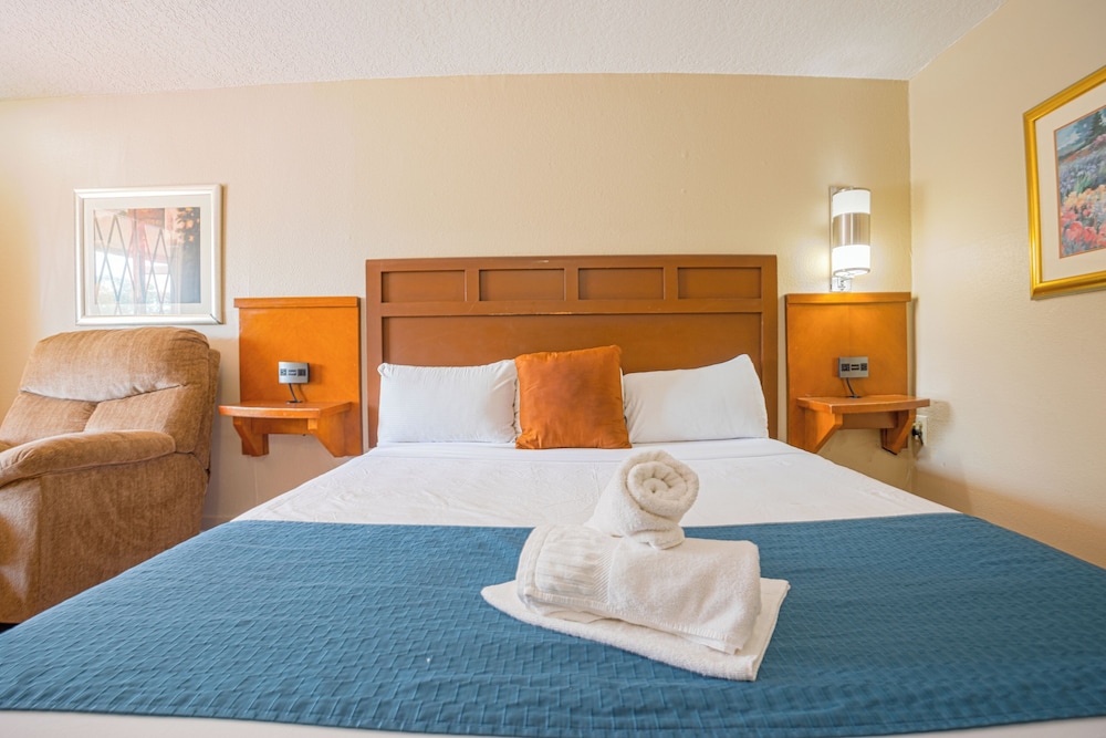 Standard Room, 1 King Bed, Mobility Accessible, Non Smoking photo 1