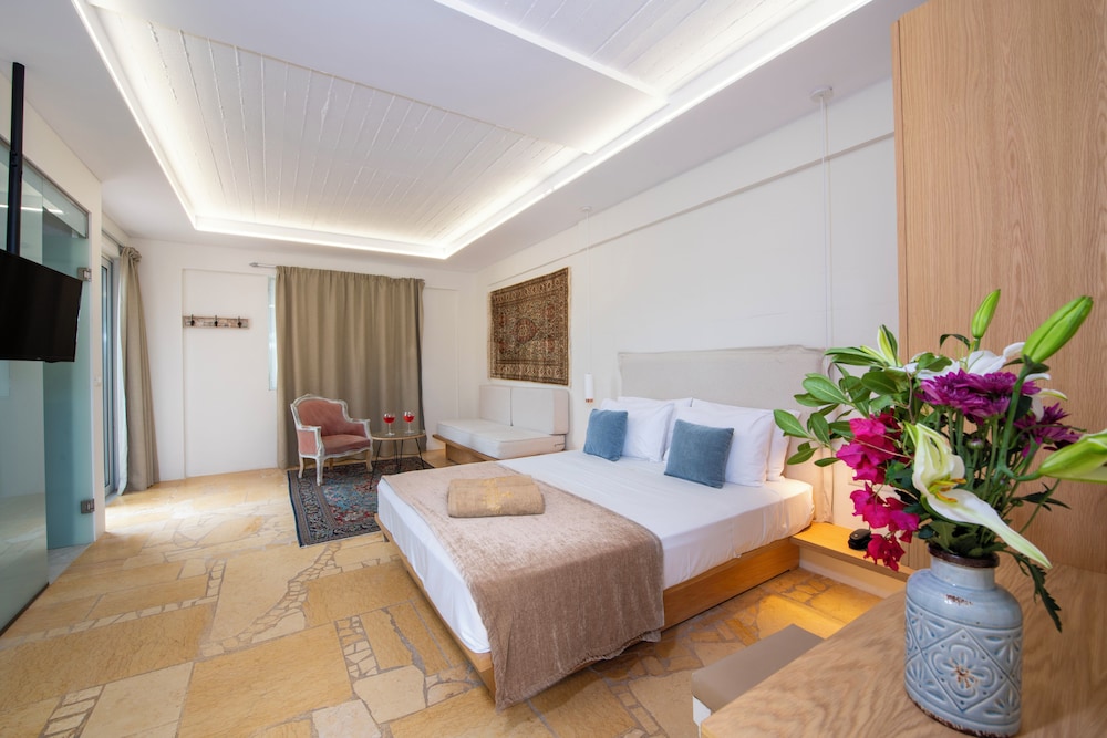 Junior Suite, 1 Double Bed with Sofa bed photo 3