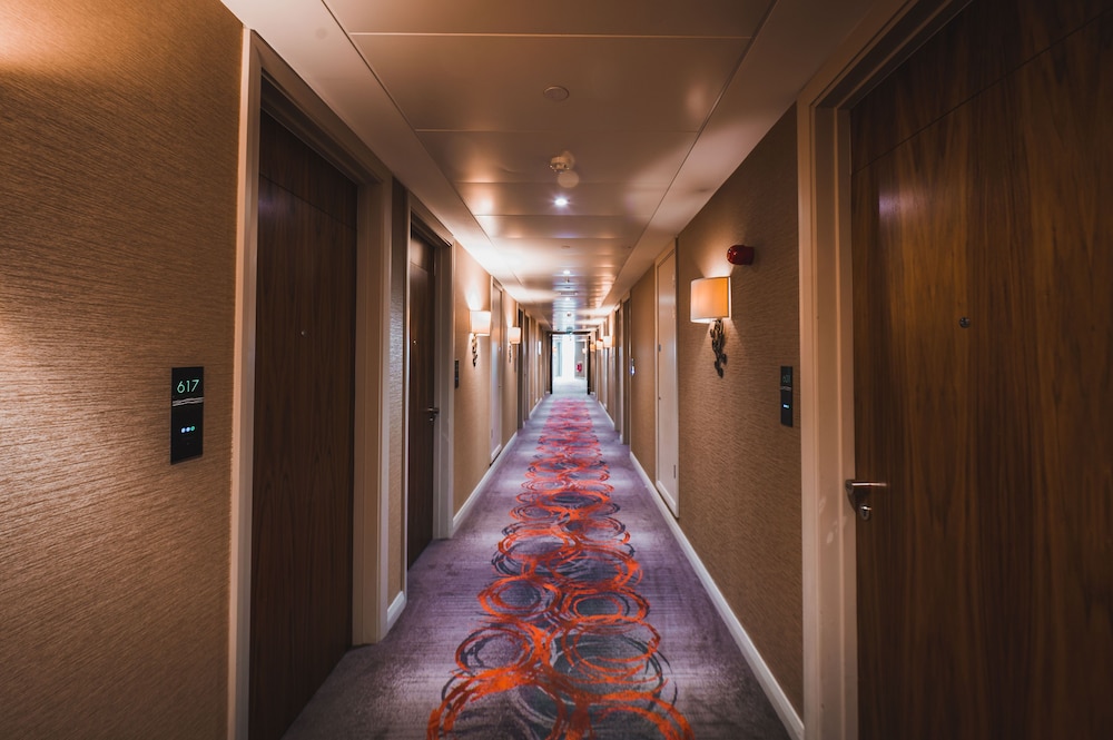 Suite - Photo 1