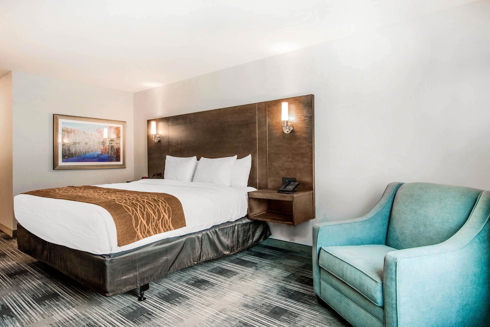 Room, 1 King Bed, Accessible, Non Smoking photo 1