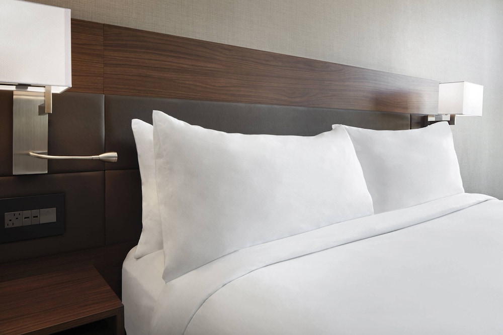 AC Hotel by Marriott Charlotte Ballantyne, Billede 5