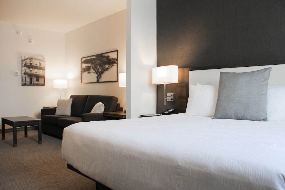 Suite, 1 King Bed, Refrigerator & Microwave (Shower Only;with Sofabed) - Photo 2