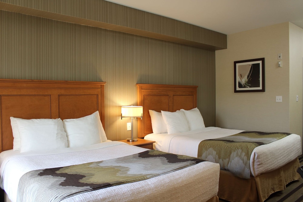 Standard Room, 2 Queen Beds, Non Smoking, Refrigerator & Microwave - Photo 3