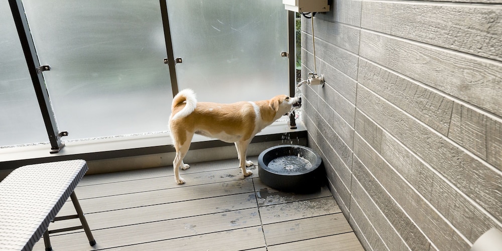 [Dog-friendly] Room for 8 People, Non Smoking - Photo 25