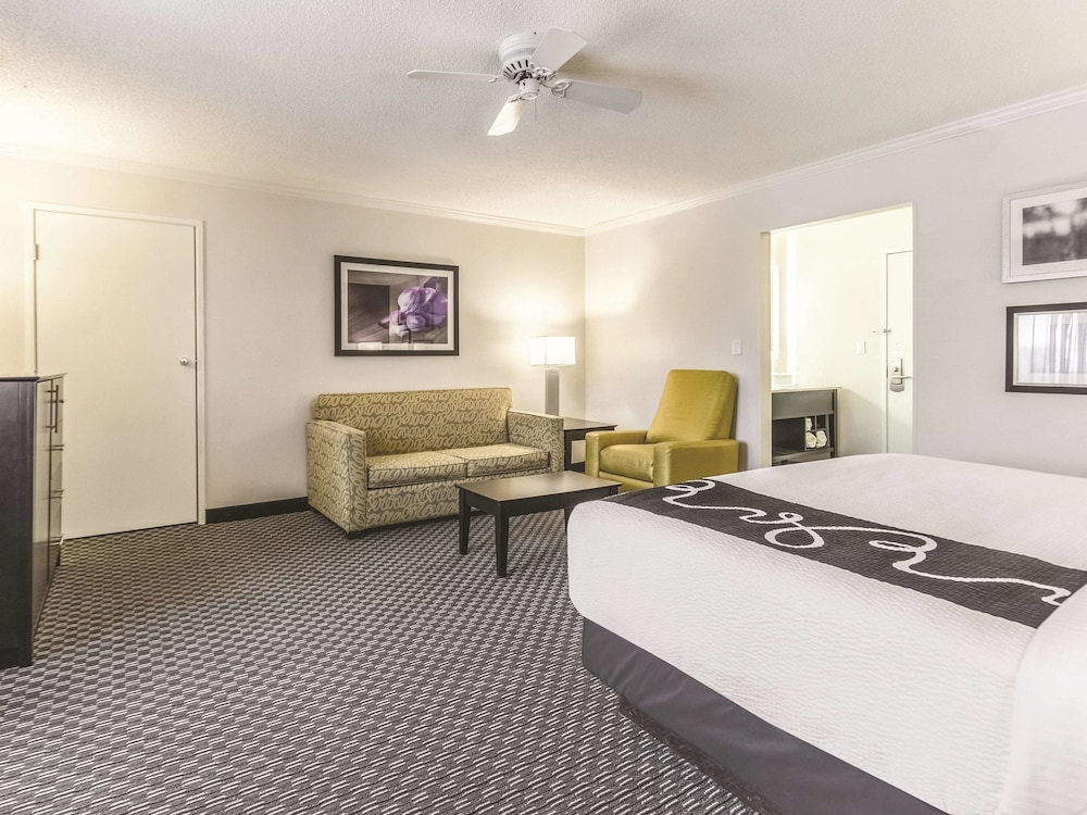 Deluxe Suite, 1 King Bed, Non Smoking - Photo 2