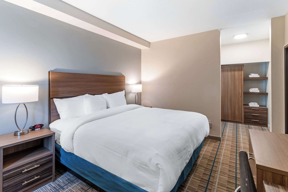 Suite, 1 King Bed with Sofa bed, Non Smoking (Efficiency) photo 1