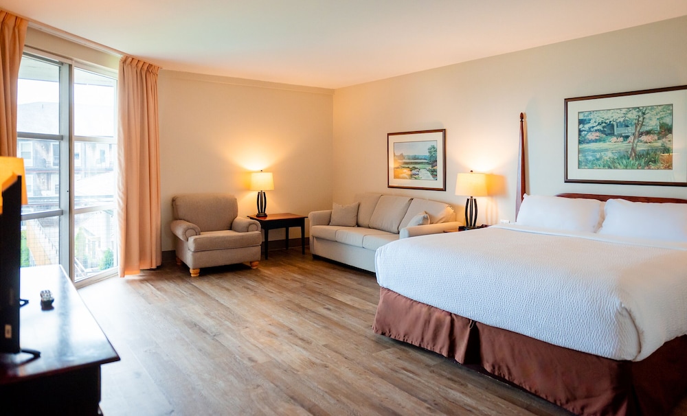 Standard Single Room, 1 King Bed with Sofa bed photo 2