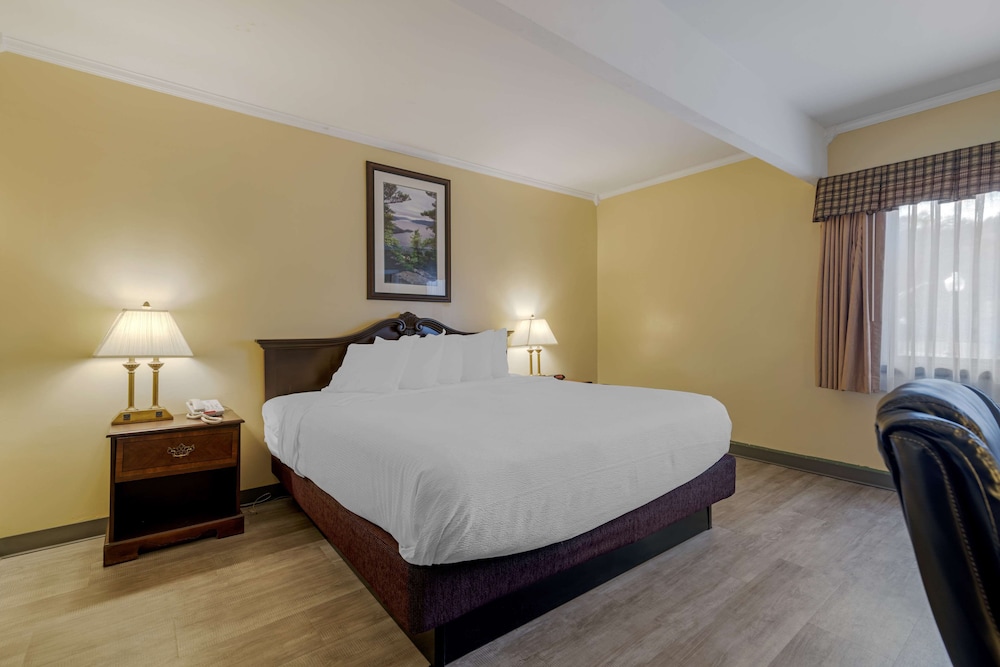 Standard Room, Multiple Beds, Refrigerator, Poolside - Photo 6