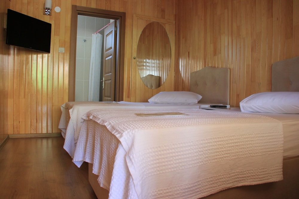 Standard Twin Room photo 2