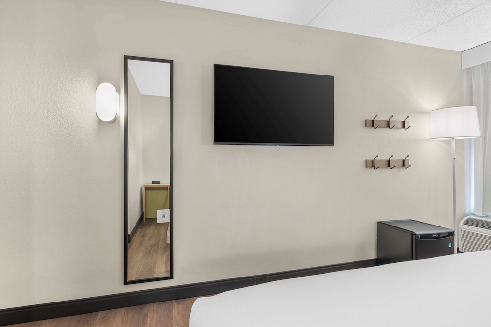 Room, 1 King Bed, Accessible, Bathtub (Mobility) photo 3