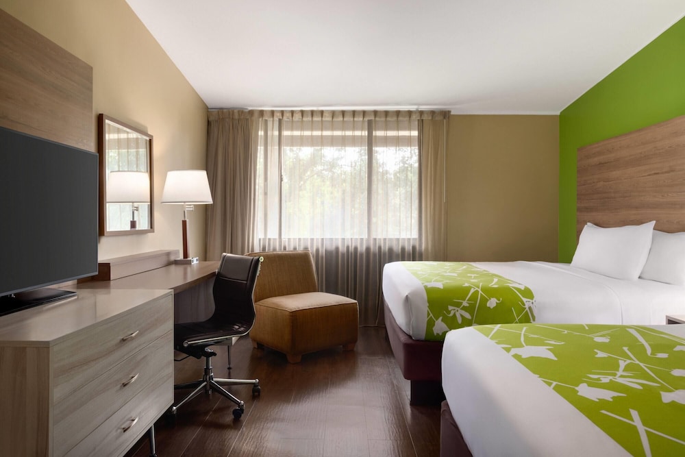 Room, Multiple Beds, Non Smoking photo 1