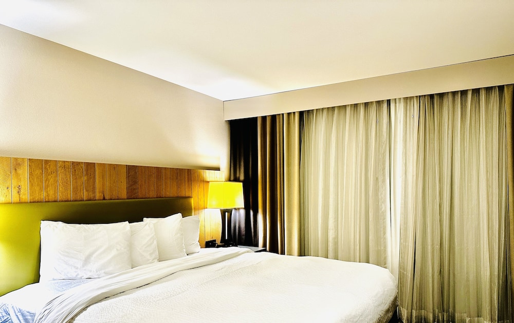 Economy Single Room photo 1