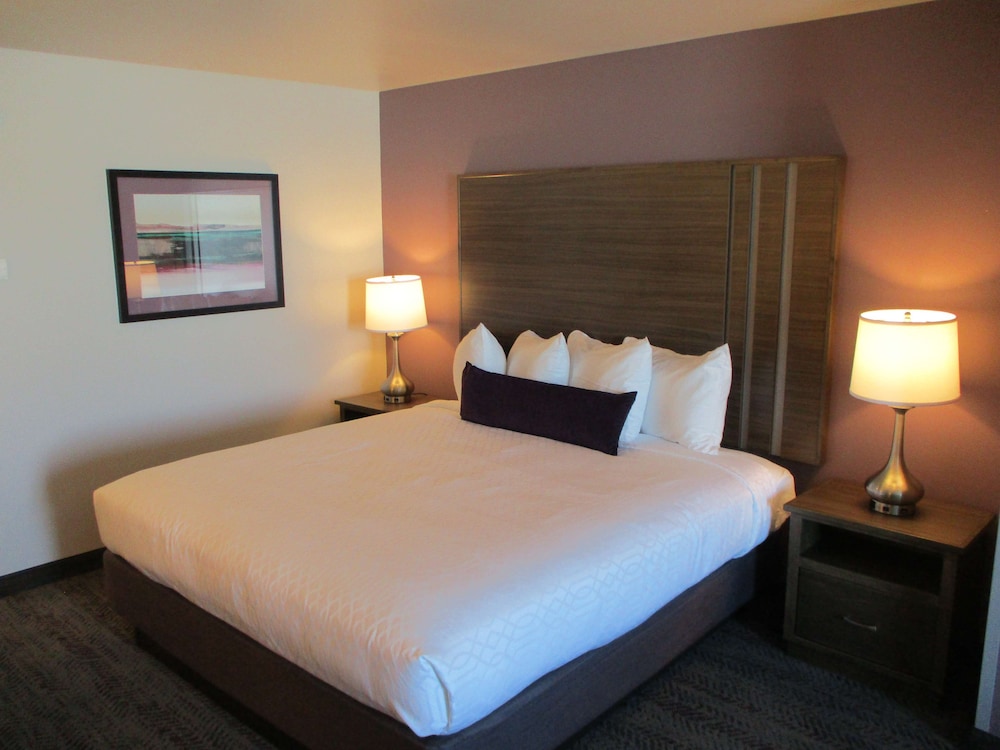 Suite, 1 King Bed, Non Smoking, Microwave - Photo 4