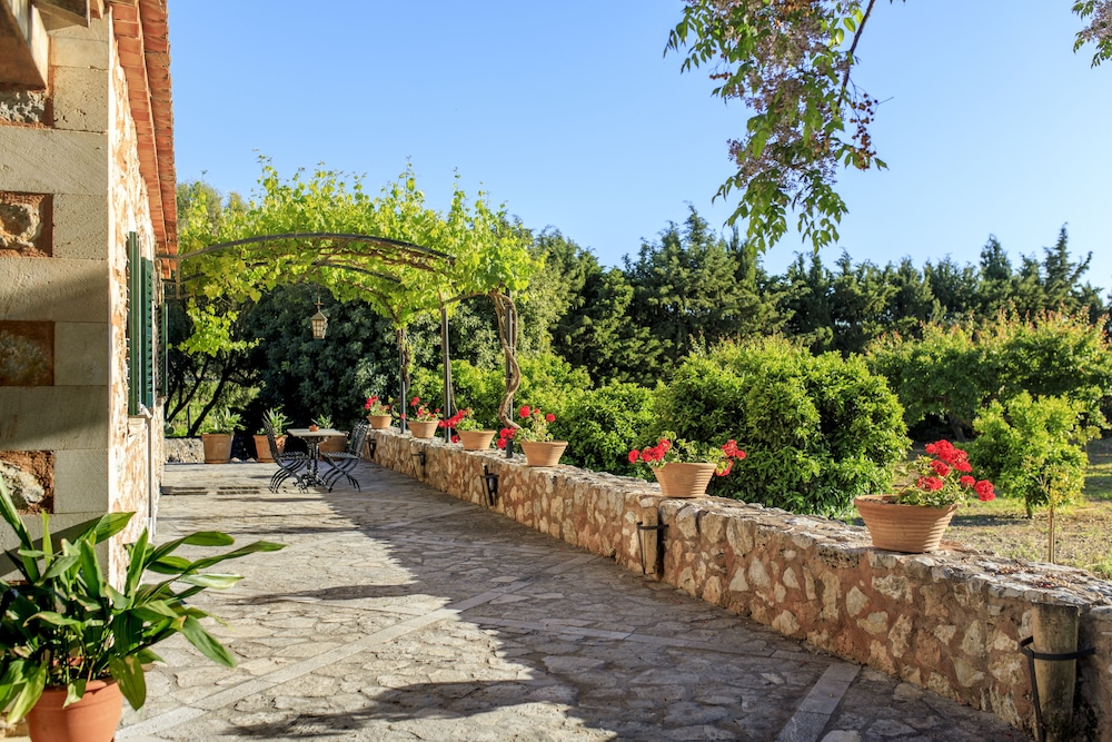 Superior Bungalow, Garden View