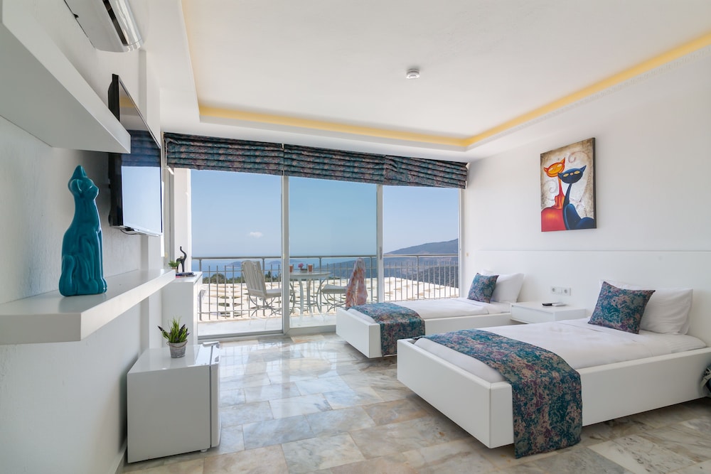 Deluxe Villa photo 2