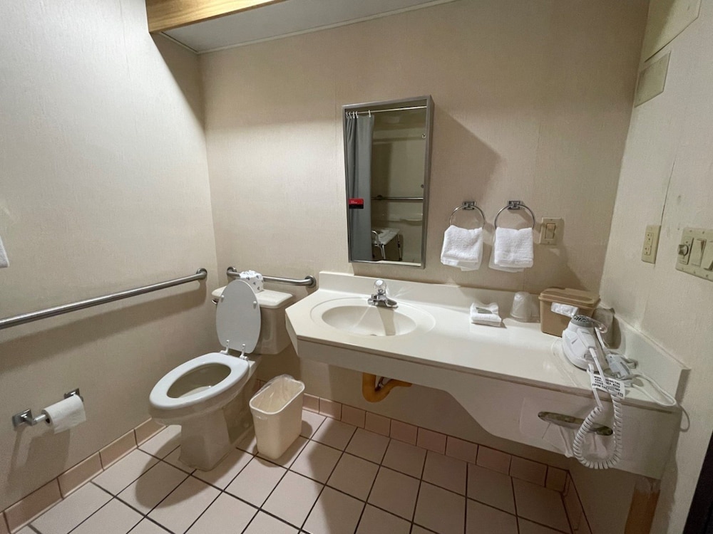 Deluxe Room, 1 Queen Bed, Accessible, Non Smoking (Roll-In Shower) - Photo 5